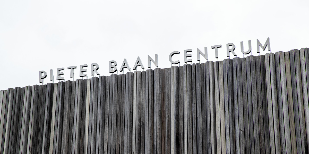 Verdachte van verkrachtingen Goudswaard naar Pieter Baan Centrum