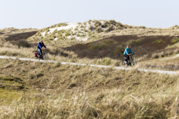 Foto ter illustratie.