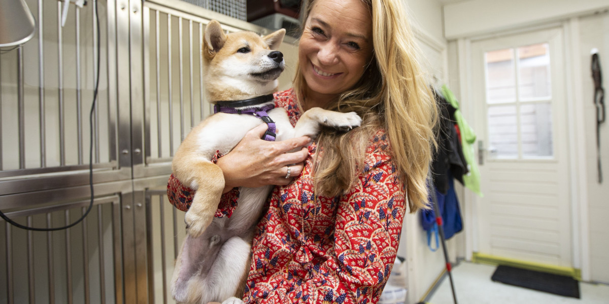 Karen Soeters vangt getraumatiseerde dieren op in Oekraïne: 'Situatie is heel erg verslechterd'