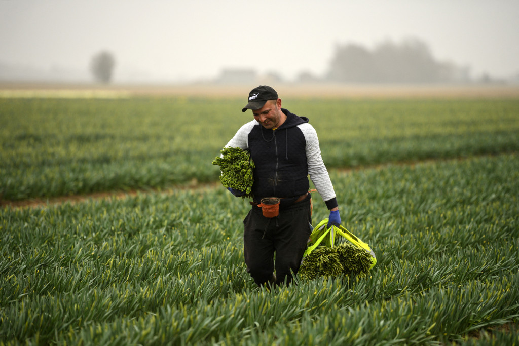 Foto ter illustratie.