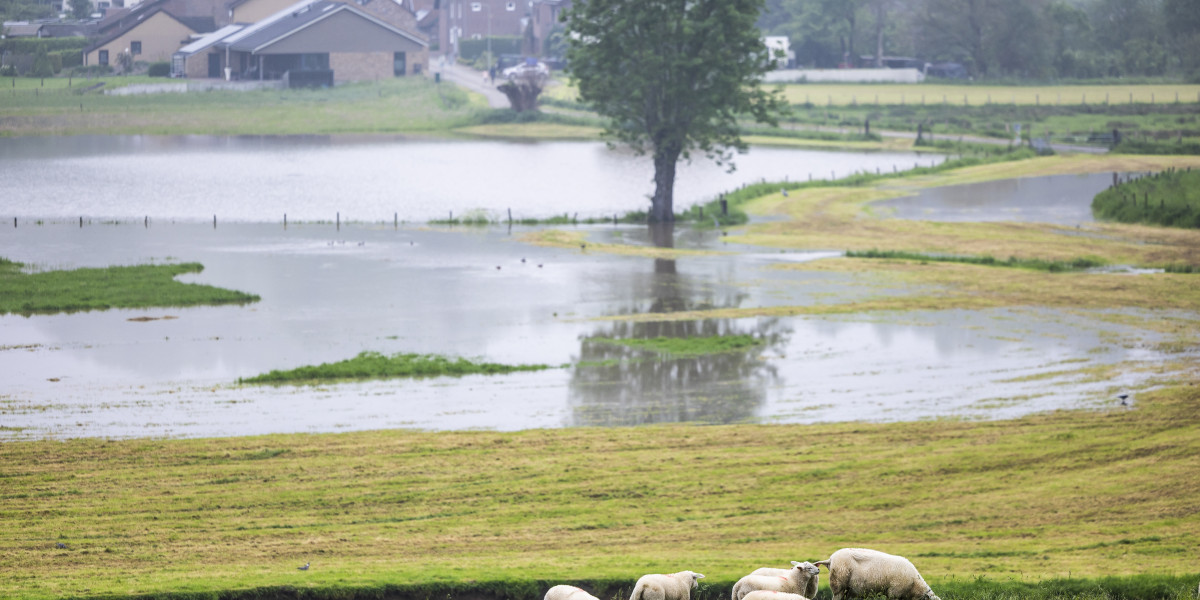 Maastricht oefent met noodkering tegen hoogwater: 'We willen binnen vier uur klaar zijn'