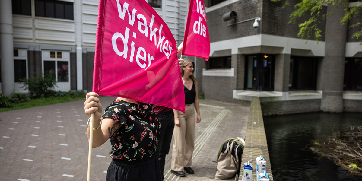 Wakker Dier spant kort geding aan tegen NS om geweigerde campagne: 'Enorme vorm van betutteling'