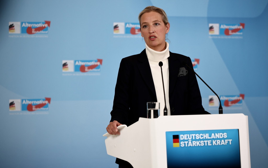 Alice Weidel.