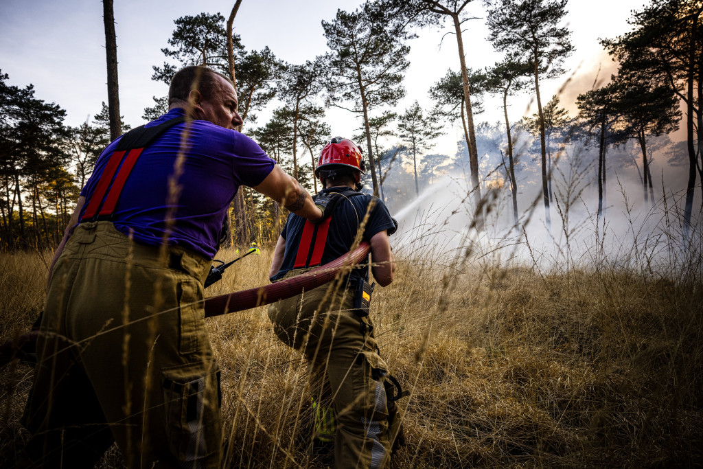 Bosbrand in Nederland.