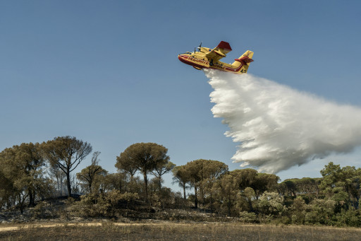 Foto ter illustratie.