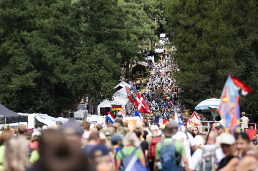 Wandelaars op de derde dag van de Nijmeegse Vierdaagse.