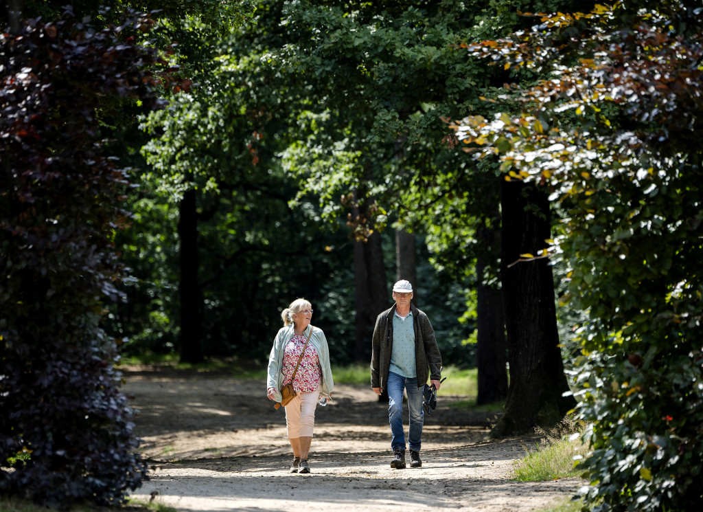 Wandelaars op de Utrechtse Heuvelrug.