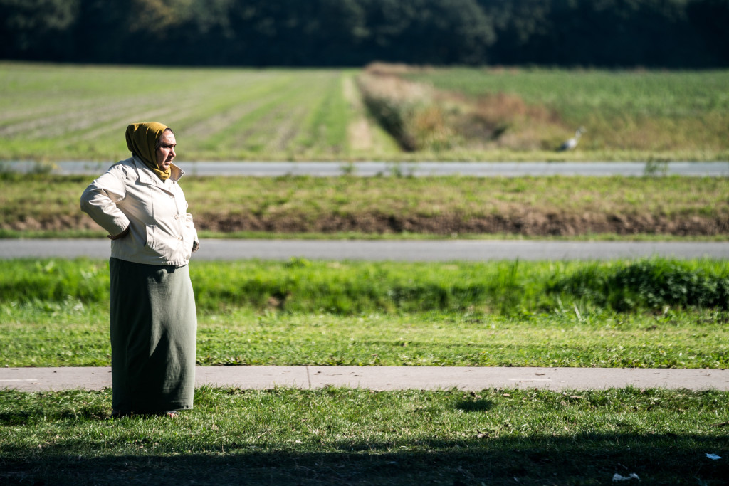 Foto ter illustratie.