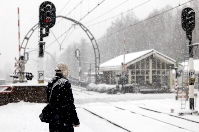 Foto ter illustratie.