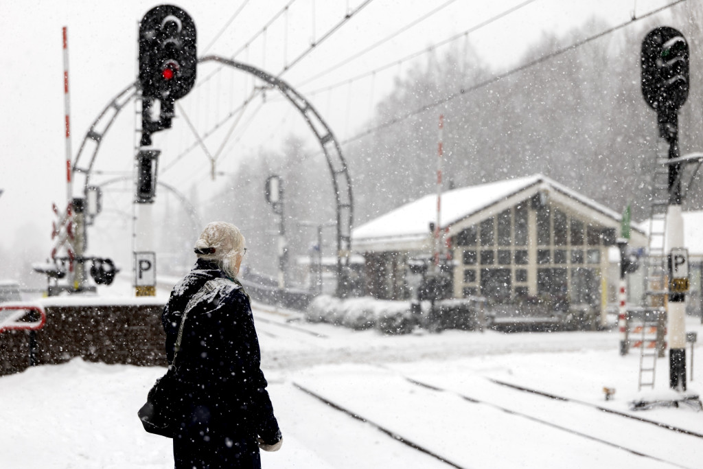 Foto ter illustratie.