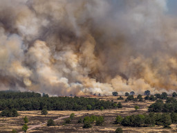 Brand op de Veluwe in voorjaar 2026.