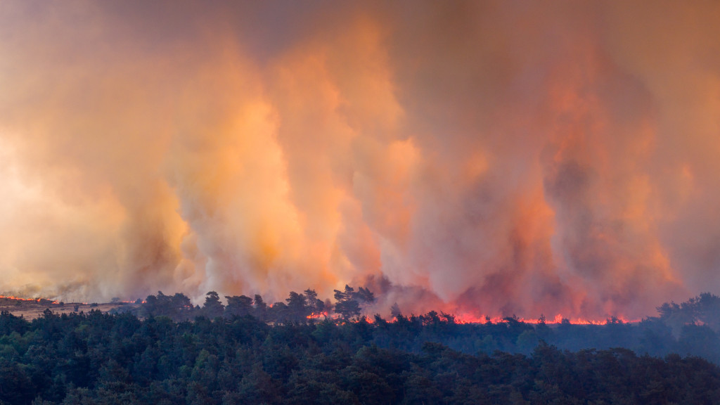 Grote natuurbrand bij ’t Harde nog altijd niet onder controle, komende uren zijn cruciaal