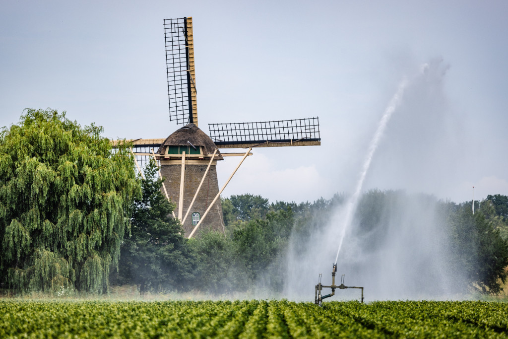 Foto ter illustratie.