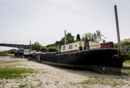 Woonboten liggen op het droge aan de Rijn. Door de aanhoudende droogte en de steeds lagere aanvoer van water via de Rijn dreigt het waterpeil te dalen tot een historisch dieptepunt.
