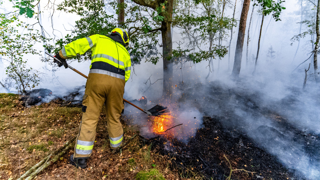 Foto ter illustratie