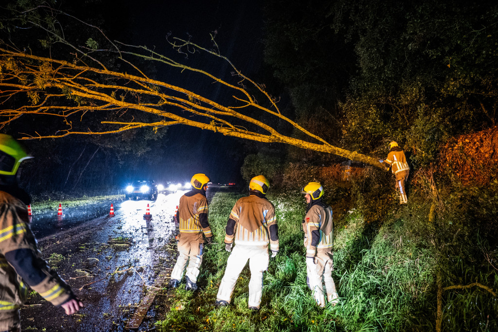 Brandweer ter plaatse bij een omgewaaide boom langs de N207.