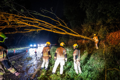 Brandweer ter plaatse bij een omgewaaide boom langs de N207.